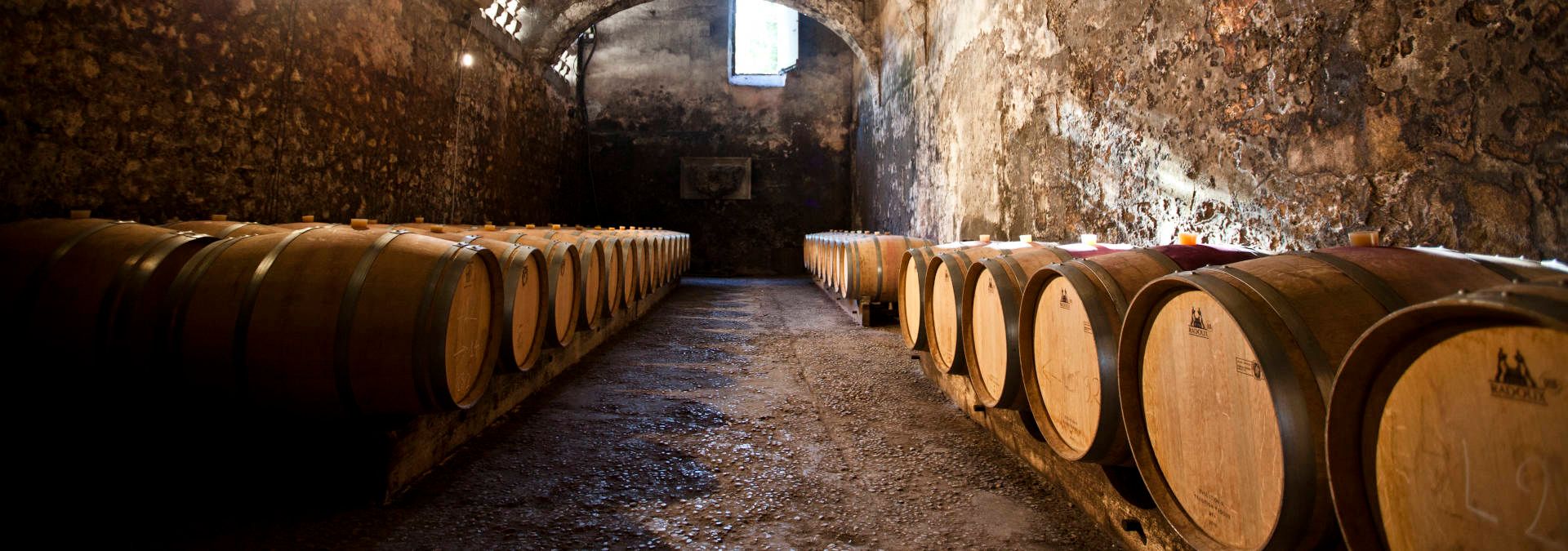 Château du Taillan - Rue des Vignerons