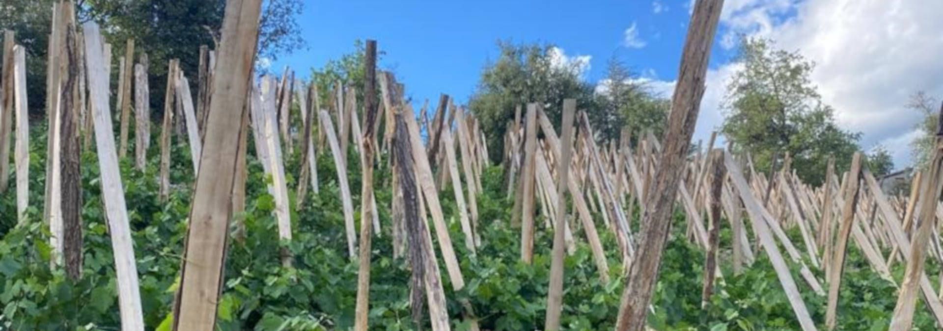 Domaine Les Terriens - Rue des Vignerons