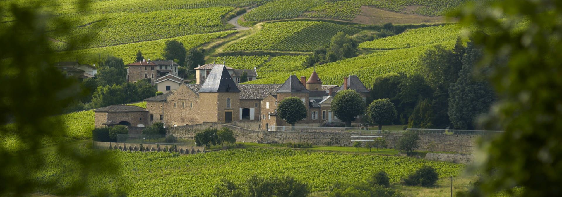 Château de Juliénas - Rue des Vignerons