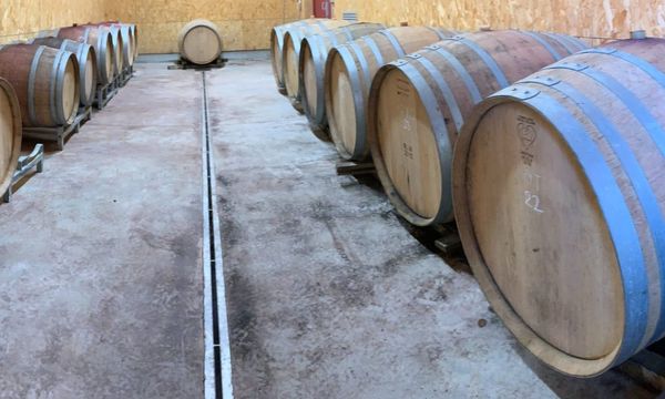 Visite du chai et dégustation de nos vins-photo