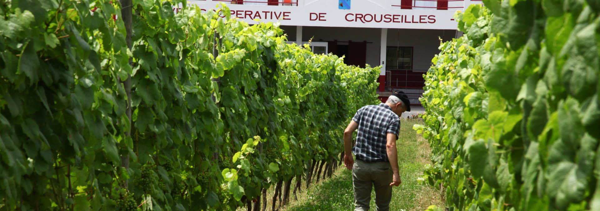 Cave de Crouseilles - Rue des Vignerons