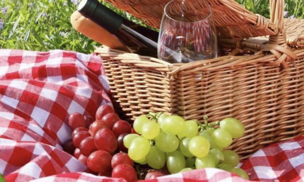 Pique nique dans les vignes !-photo