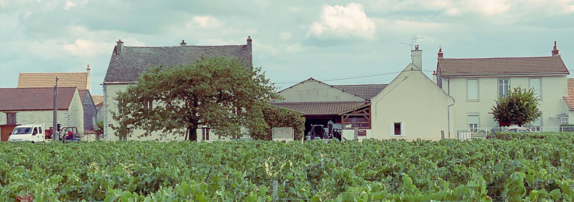 Domaine Ch. Gros &amp; Fils - Rue des Vignerons