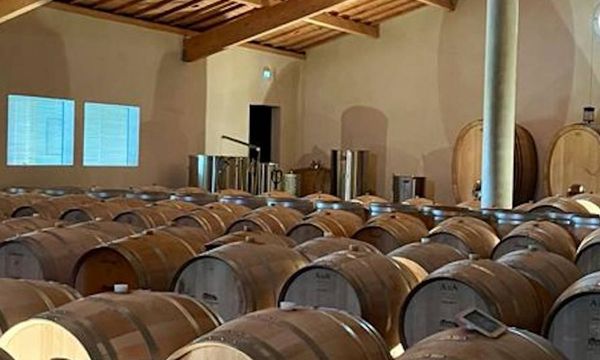 Visita e degustazione-photo