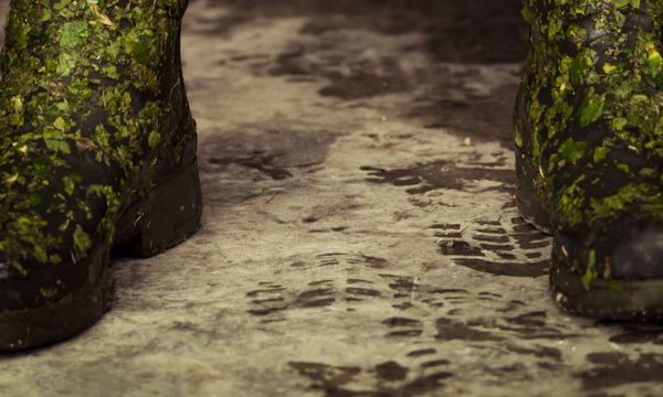 Hors des sentiers battus-photo