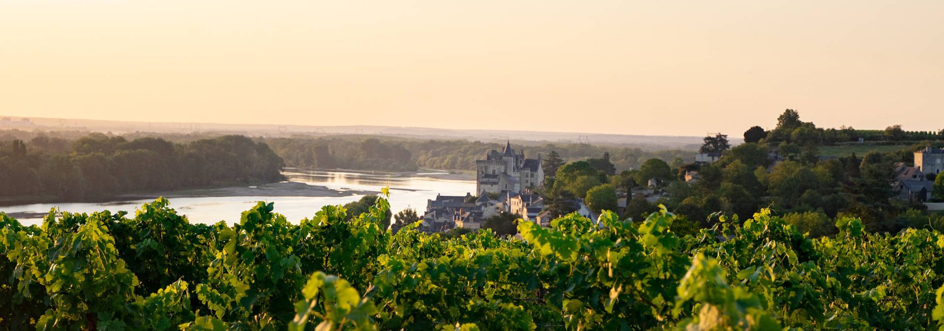 Domaine de la Perruche - Rue des Vignerons