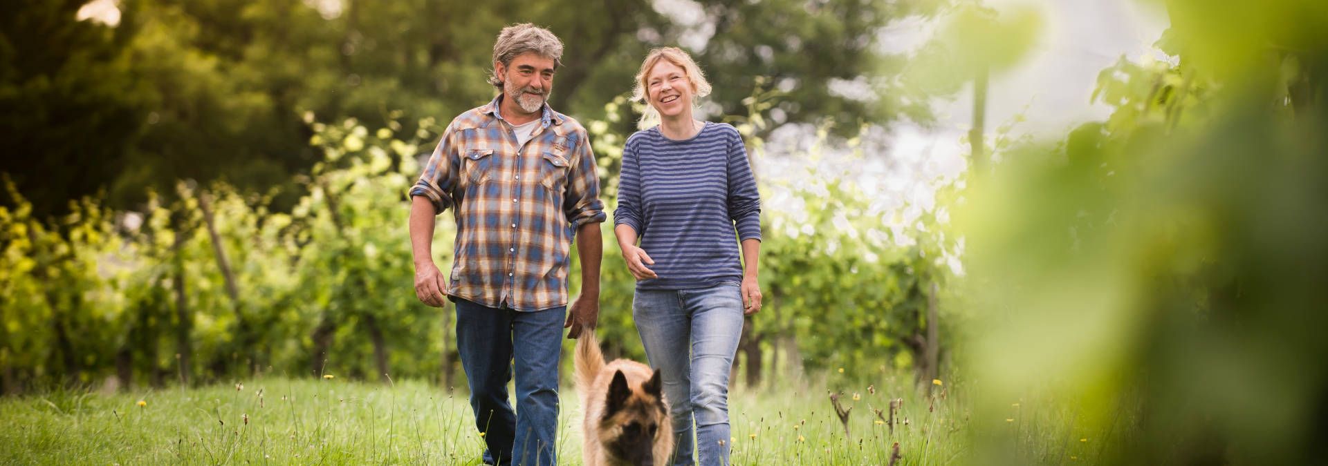 Domaine de Cabarrouy - Rue des Vignerons