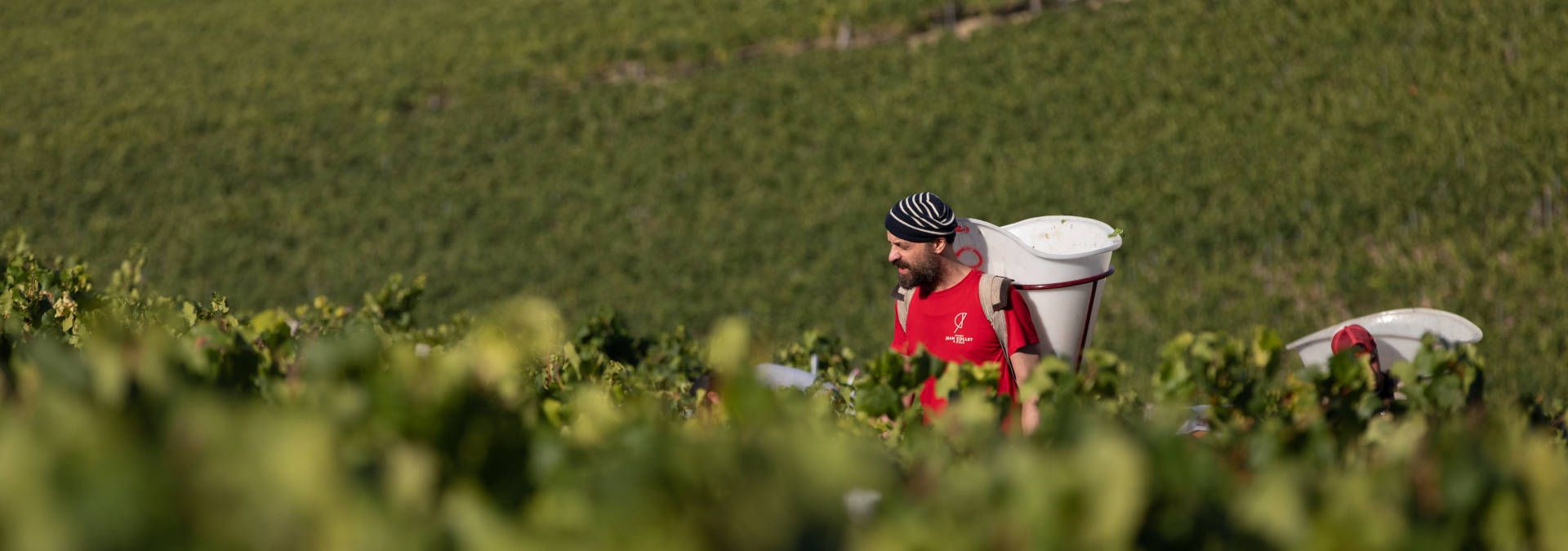 Domaine Jean Collet et Fils - Rue des Vignerons