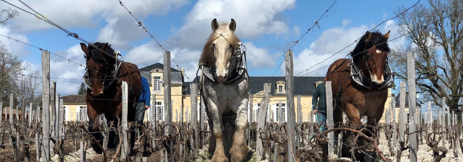 Château de Rouillac - Rue des Vignerons