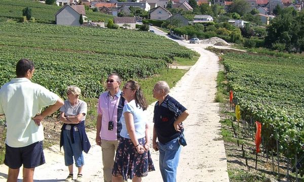 Immersion Vigneronne-photo
