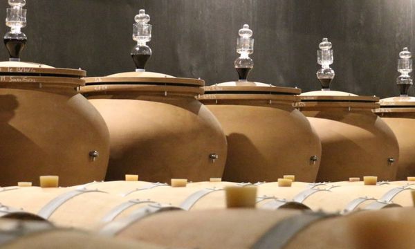 Signature Tasting-photo