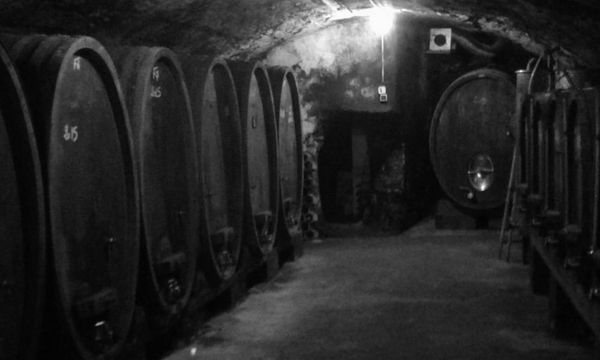 Visite de notre cave et dégustation de nos vins-photo