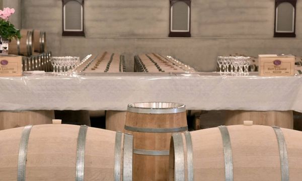 Découverte d'un Pessac-Léognan authentique-photo
