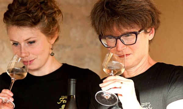 Découverte de nos vins-photo
