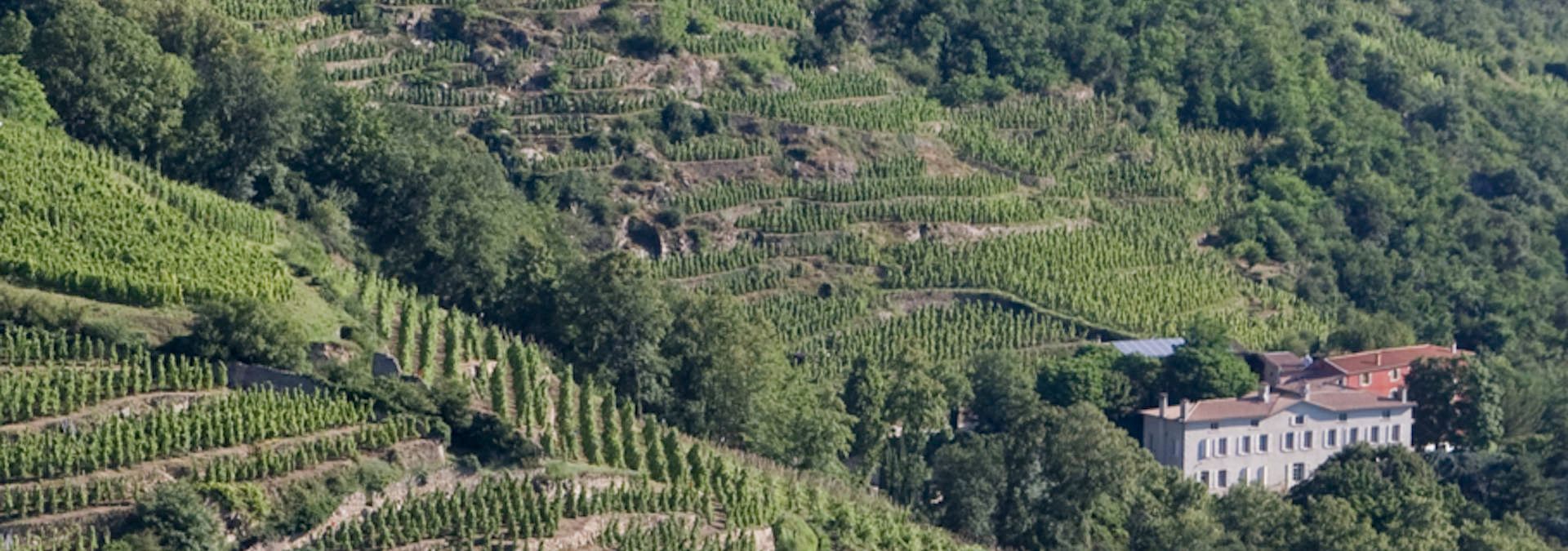 Domaine de Corps de Loup - Rue des Vignerons