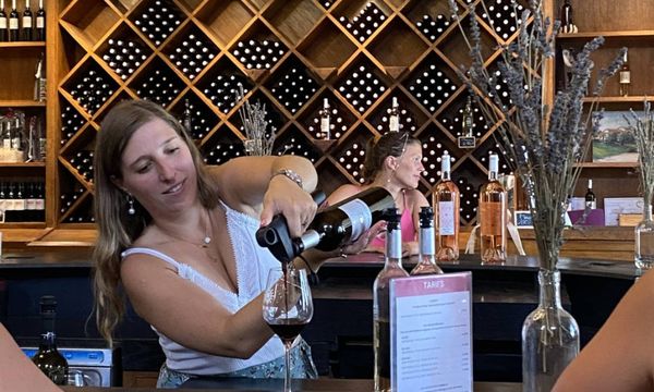 Présentation et dégustation de 4 vins (groupe)-photo