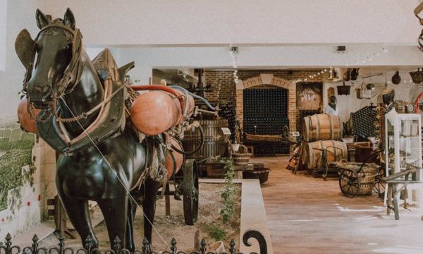Visite guidée avec dégustation-photo