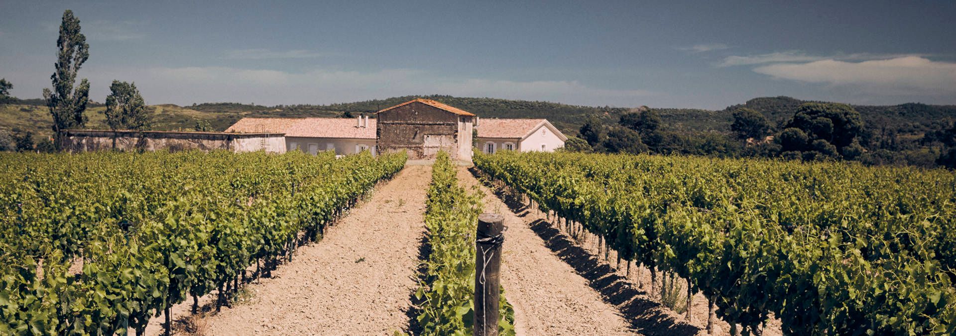 Domaine d'Aussières - Rue des Vignerons