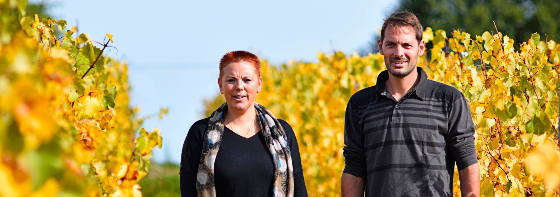Vignoble Perras - Rue des Vignerons