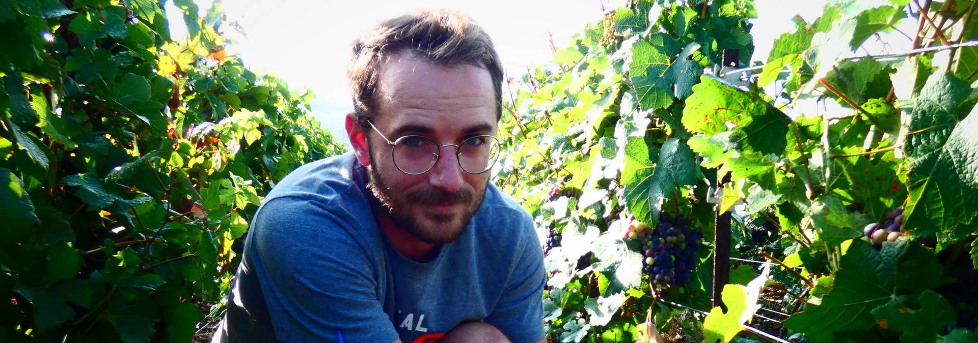 Champagne Cordoin Didierlaurent - Rue des Vignerons