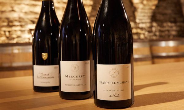 Initiation à la dégustation avec notre sommelier-photo