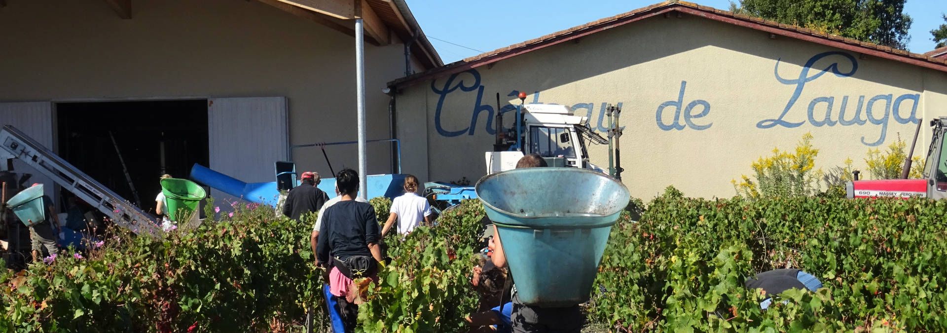 Chateau de Lauga - Rue des Vignerons