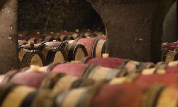 Visitate le nostre cantine e assaggiate i prodotti-photo