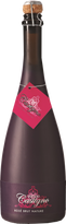 Château Castigno Rosé Brut Nature 2019 Rosé