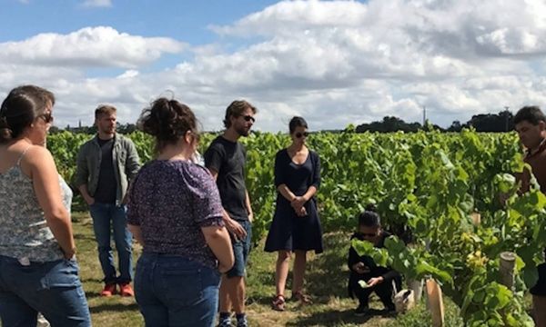 Visite des vignes aux chais-photo