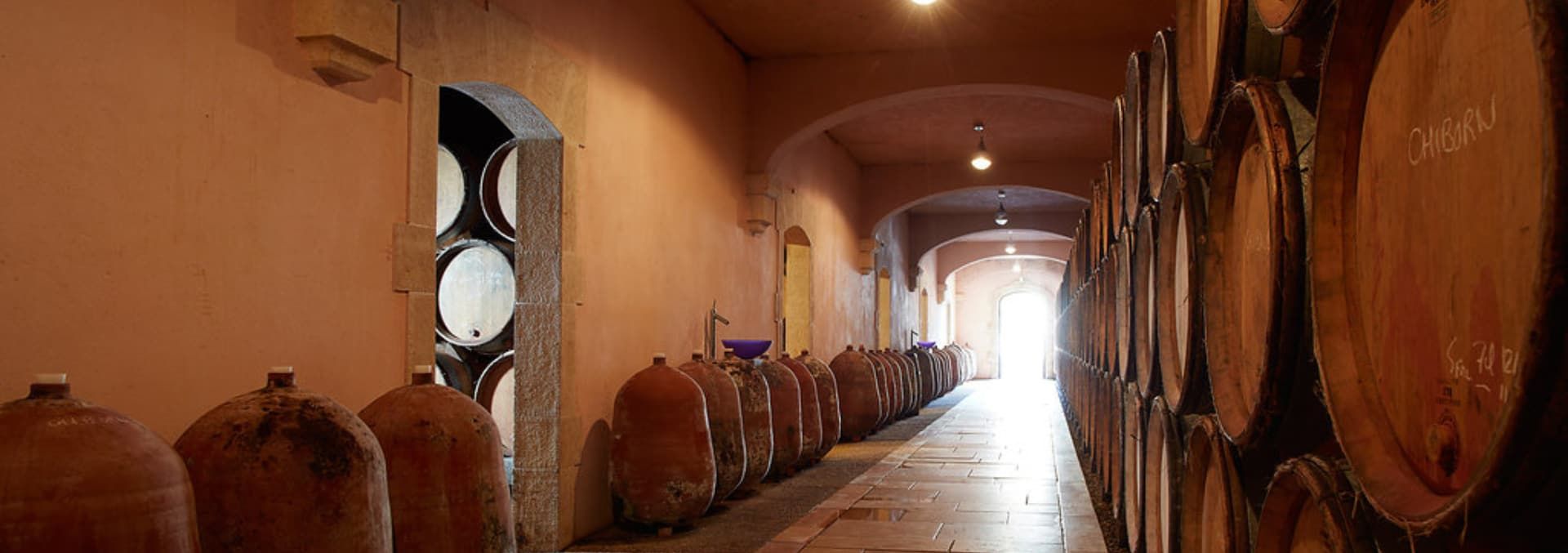 Domaine Michel Magnien - Rue des Vignerons