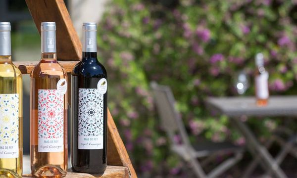 Visite guidée et dégustation de 3 vins -photo