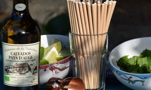 Soirée cocktail Au Calvados-photo