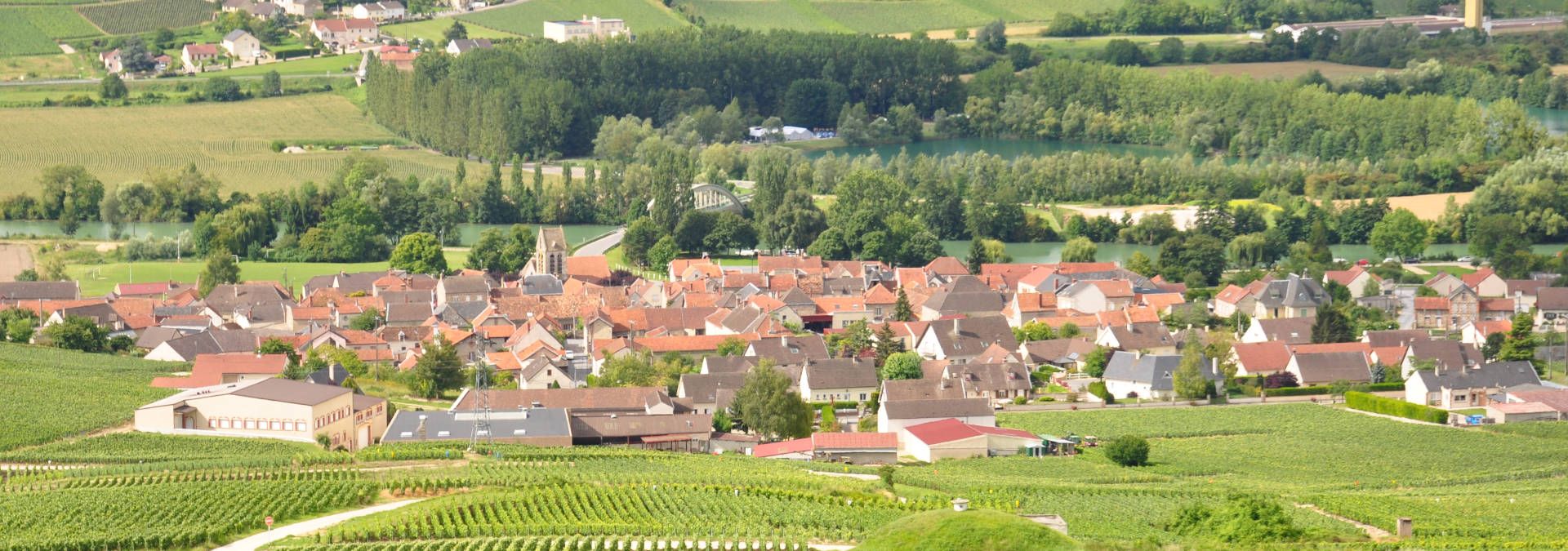 Champagne Roger-Constant Lemaire - Rue des Vignerons