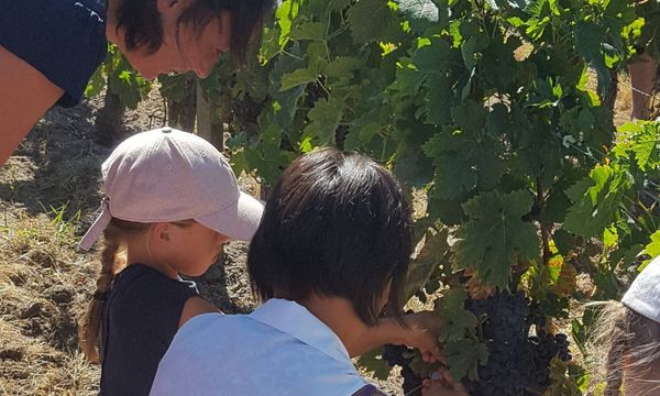 Les Apprenti-e-s Vigneronnes et Vignerons-photo