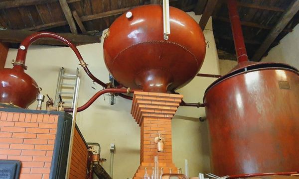 Visite découverte du Domaine-photo