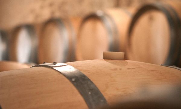 Barrel tasting-photo