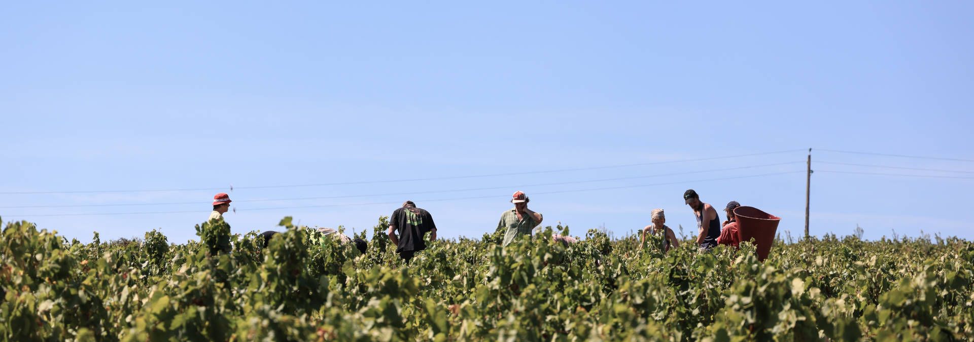 Domaine de la Roche - Rue des Vignerons