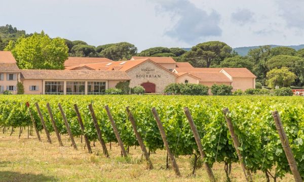 Pique-nique dans les vignes-photo
