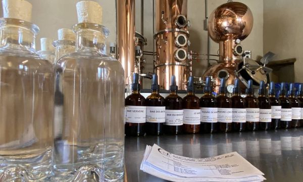 Atelier récréatif autour du gin-photo