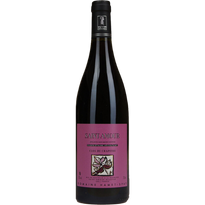 Domaine Hamet-Spay Saint-Amour Clos du Chapitre 2023 Rouge