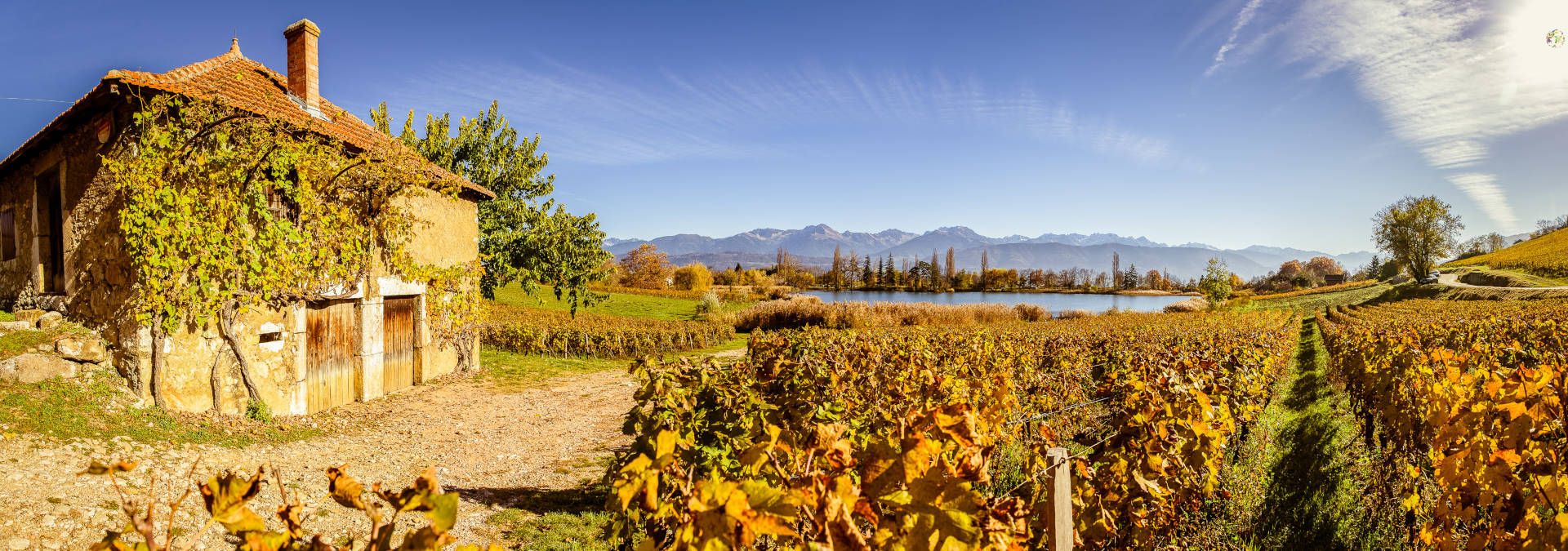 Domaine Philippe et Sylvain Ravier - Rue des Vignerons