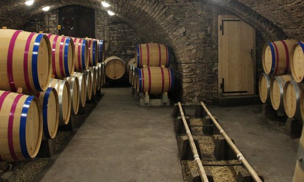 Au cœur de nos caves-photo