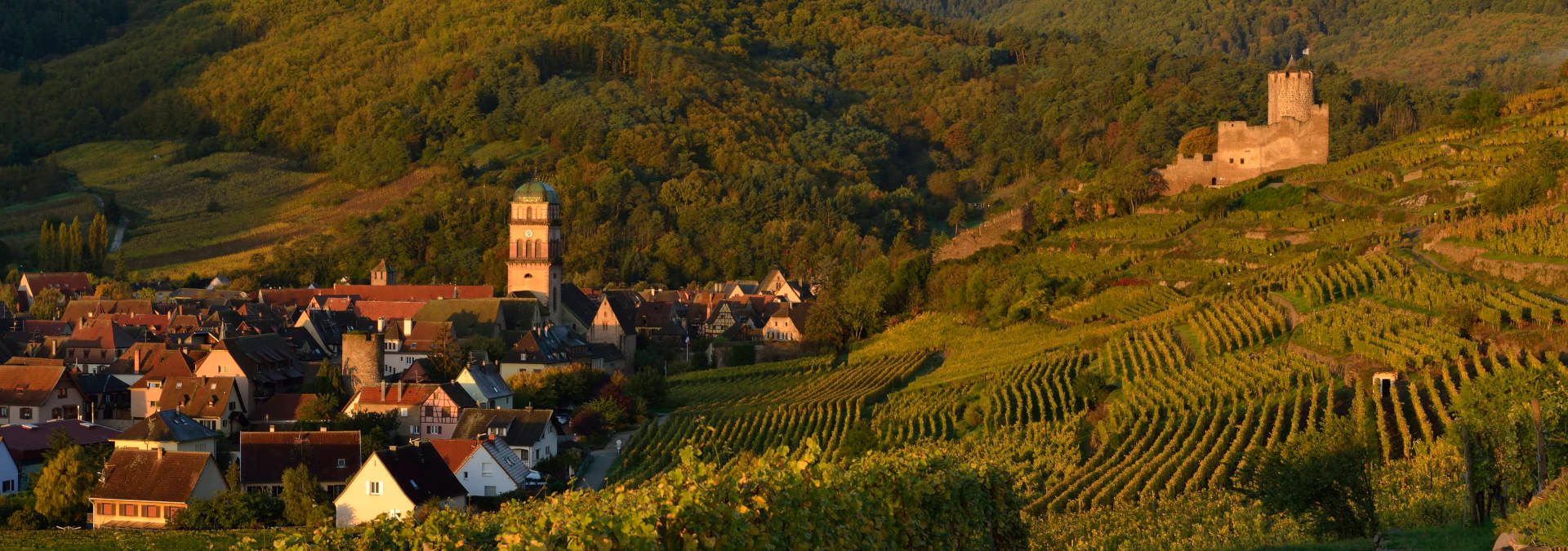 Domaine Bernard Haas &amp; Fils - Rue des Vignerons