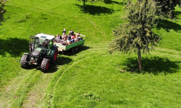 Balade estivale en tracteur-photo