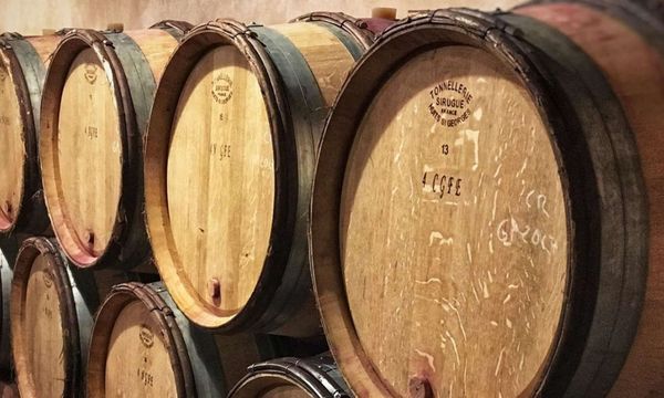 À la découverte du domaine et de ses caves-photo