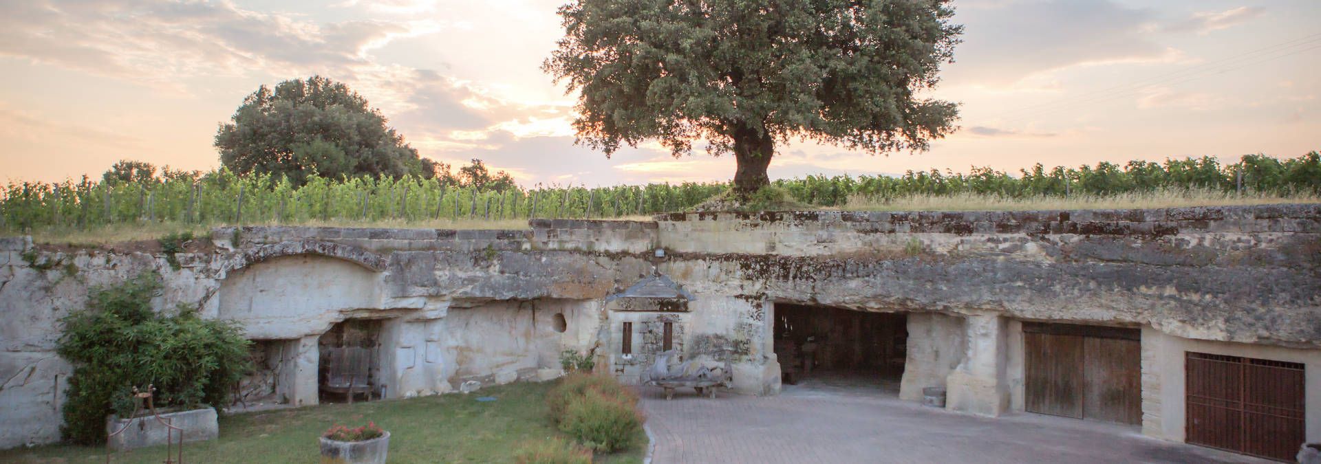 Château Franc Mayne - Rue des Vignerons