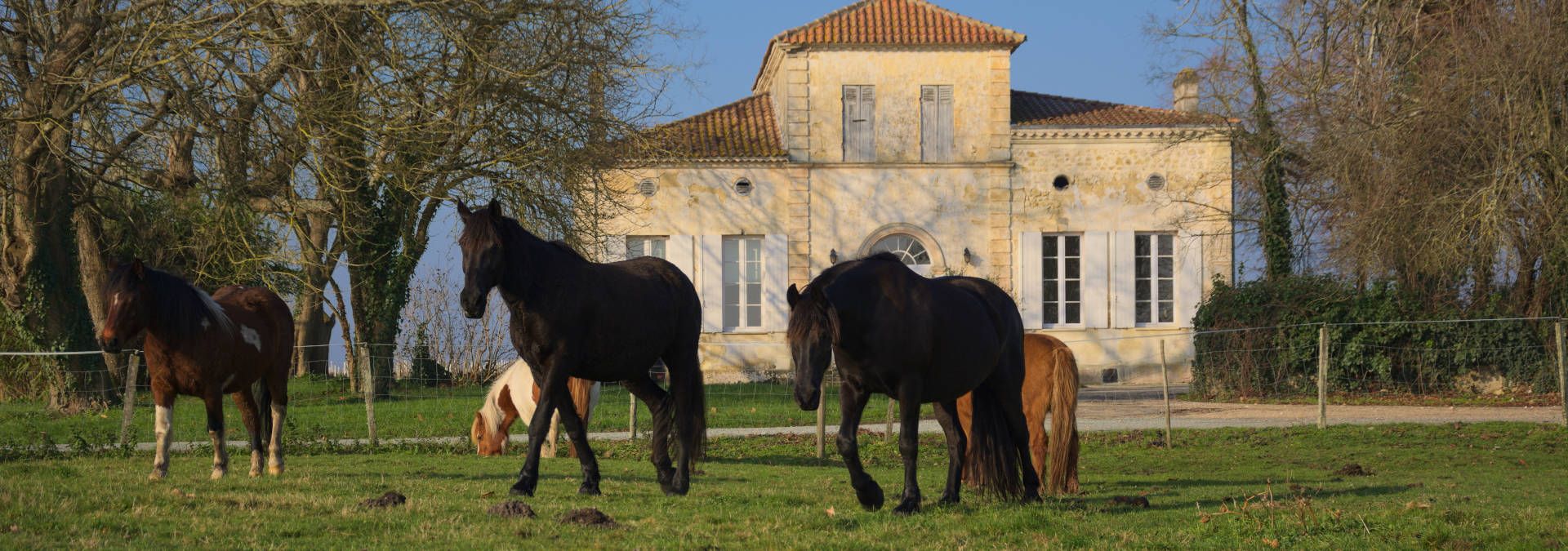 Chateau de Cach - Rue des Vignerons
