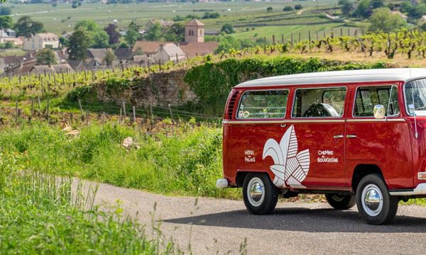 Demi-journée Excursion en Côte de Nuits avec un Co-photo