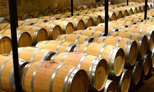Visite du Château Teynac et dégustation-photo