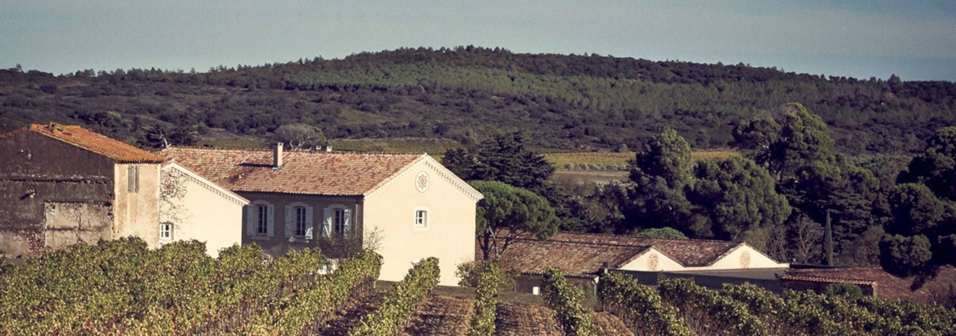 Domaine d'Aussières - Rue des Vignerons